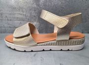 30701-platino