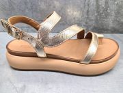 ia96003-gold