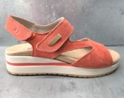 4534-coral